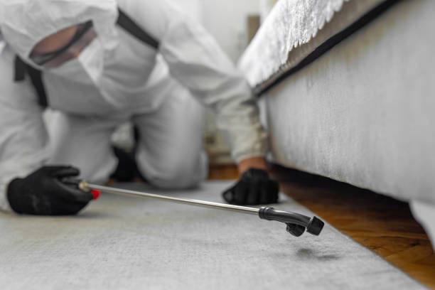 Professional Cockroach Control technician working in La Cresta, CA