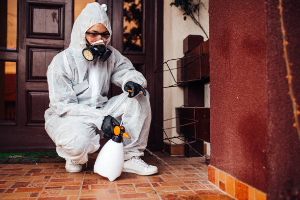 Reliable Cockroach Control contractor in La Cresta, CA by Nex Pest Control